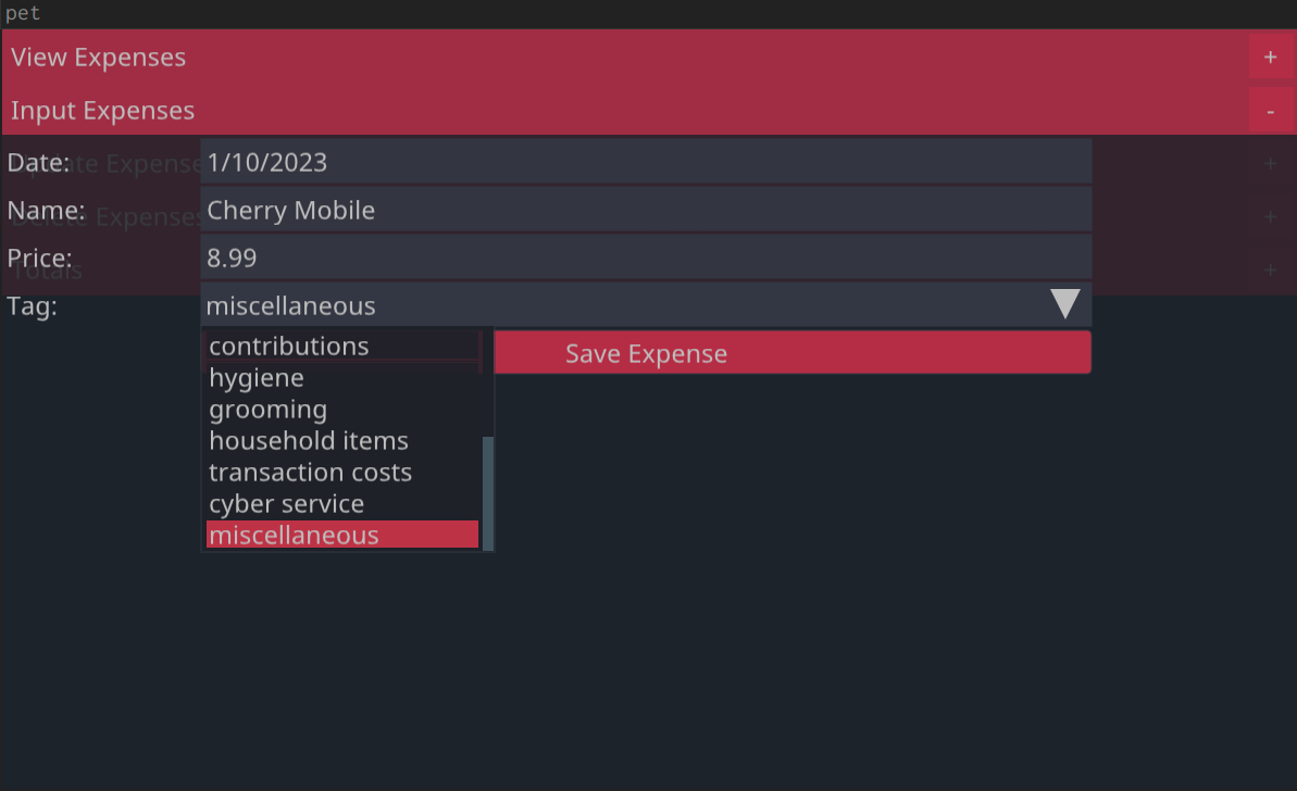 Input Expenses Window